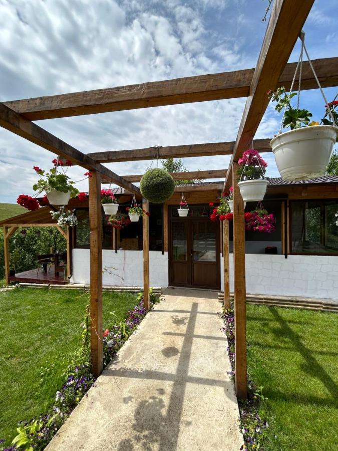 Faget Casa Eden Fit别墅 外观 照片